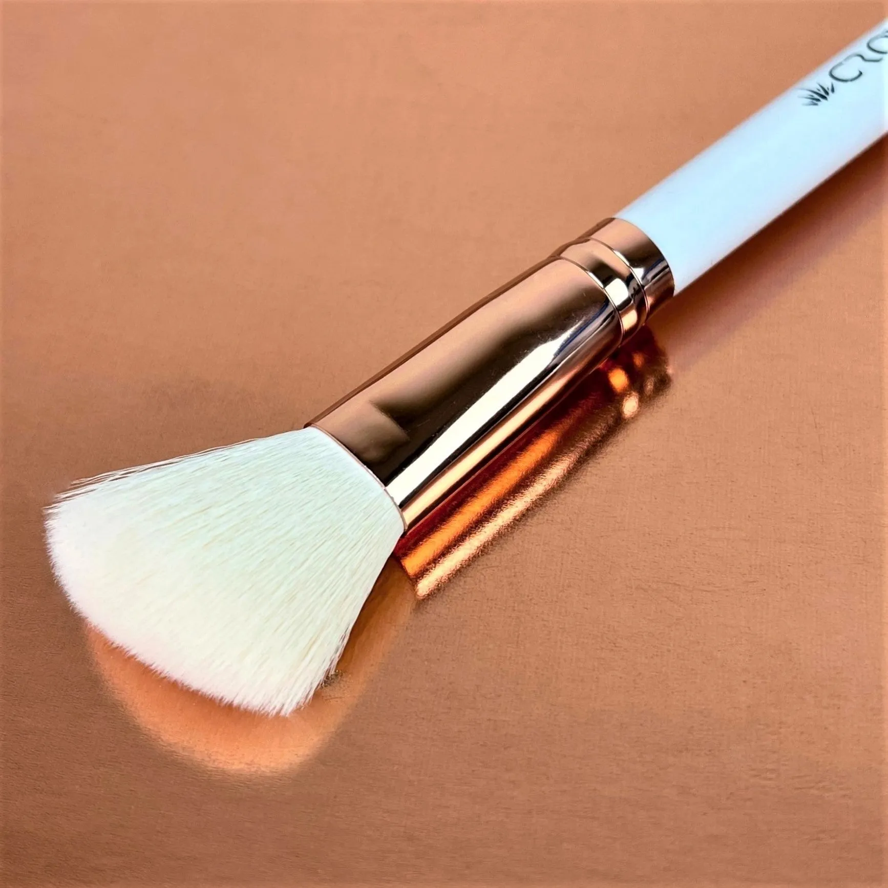 5 PACK CWG02-ANGLE BLUSH