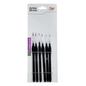 6 Piece Artist Brush Set
