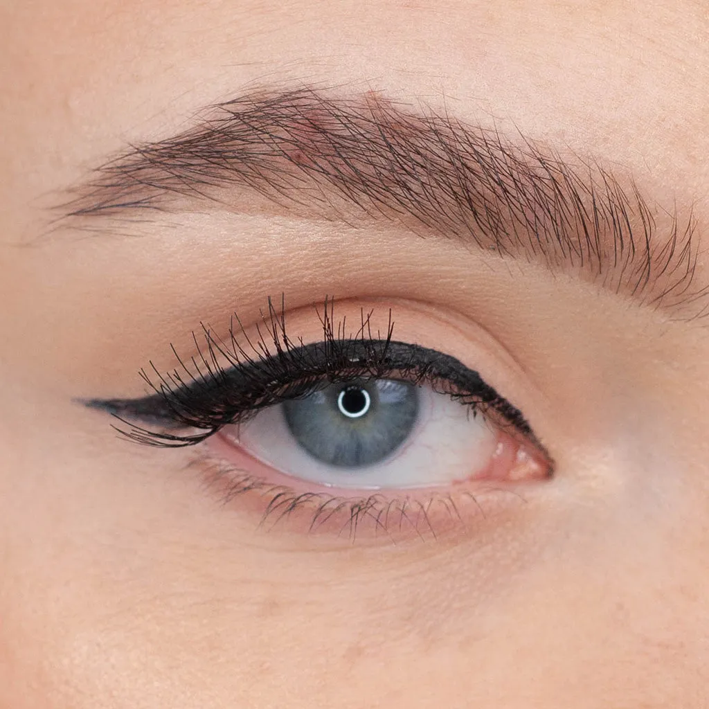 Ardell Magnetic Liner and Lash Kit - Accent 002