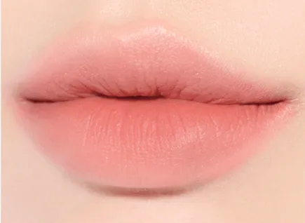 BBIA Last Velvet Tint (Chocobi Edition)