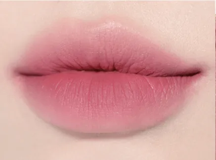 BBIA Last Velvet Tint (Chocobi Edition)