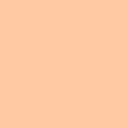 Blush Makeup Cosmetics BB Cream