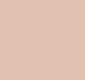 Blush Makeup Cosmetics BB Cream