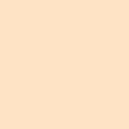 Blush Makeup Cosmetics BB Cream