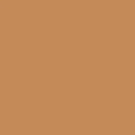 Blush Makeup Cosmetics BB Cream