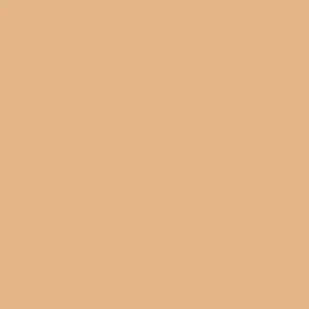 Blush Makeup Cosmetics BB Cream