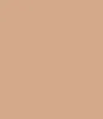 Blush Makeup Cosmetics BB Cream