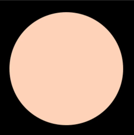 Blush Makeup Cosmetics Liquid Concealer