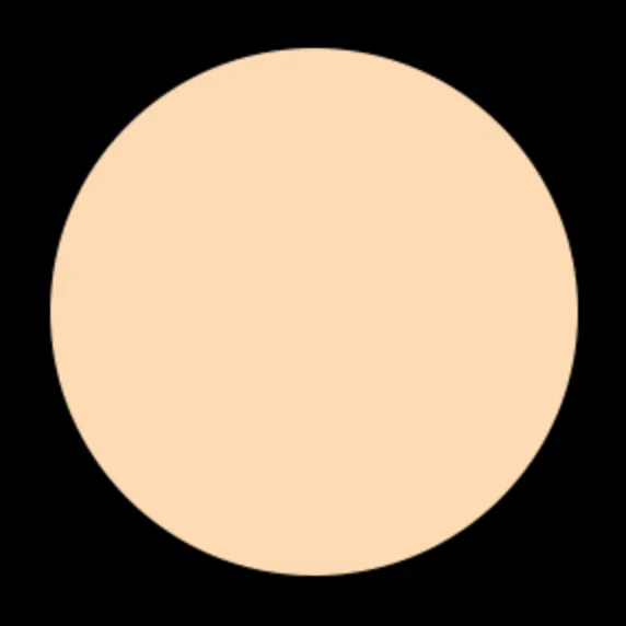 Blush Makeup Cosmetics Liquid Concealer