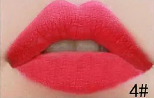 Brand Makeup Matte Lipstick Tint liquid Lipstick