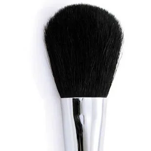 Brandon - Powder Brush