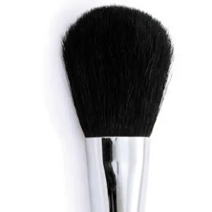 Brandon - Powder Brush