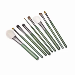 Brush Set 9 pieces