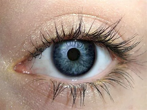 Cafe Au Lait Eyeshadow