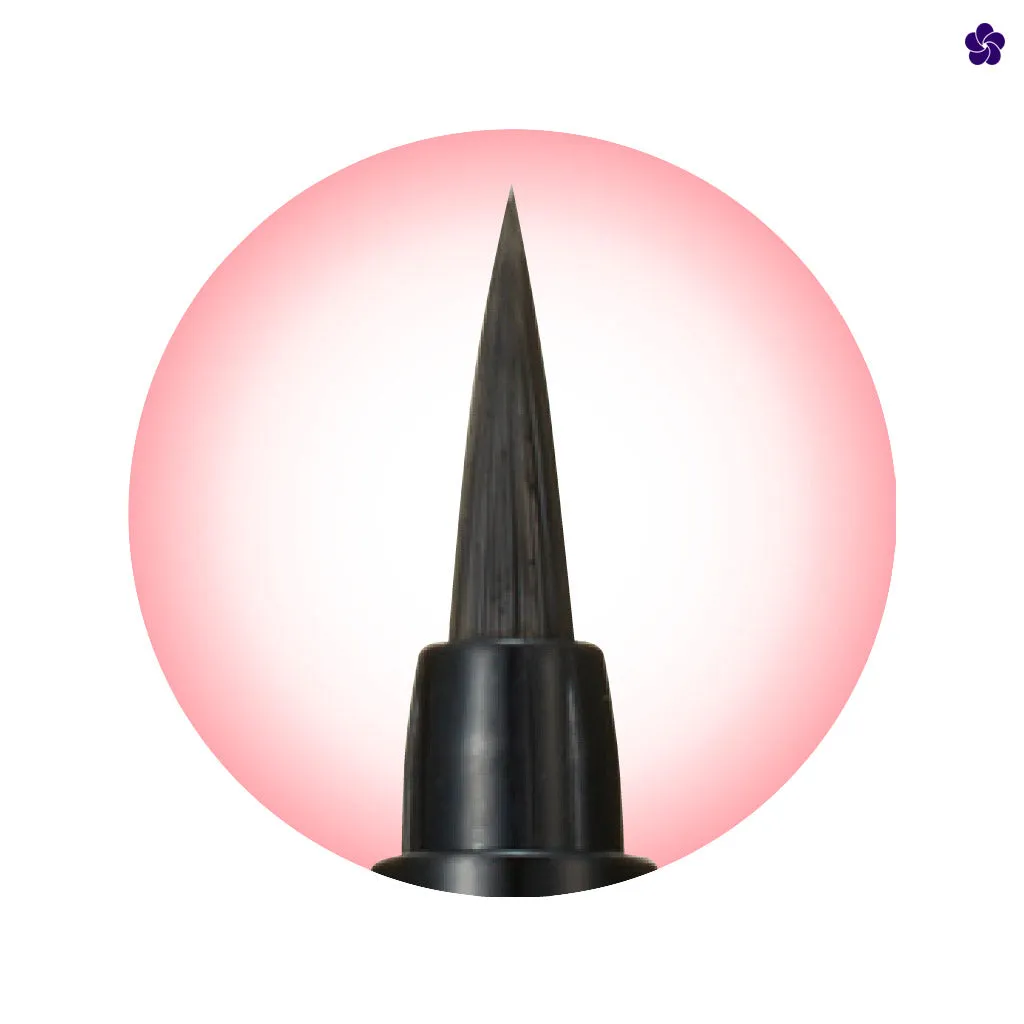 CANMAKE - Lasting Liquid Liner Black 01
