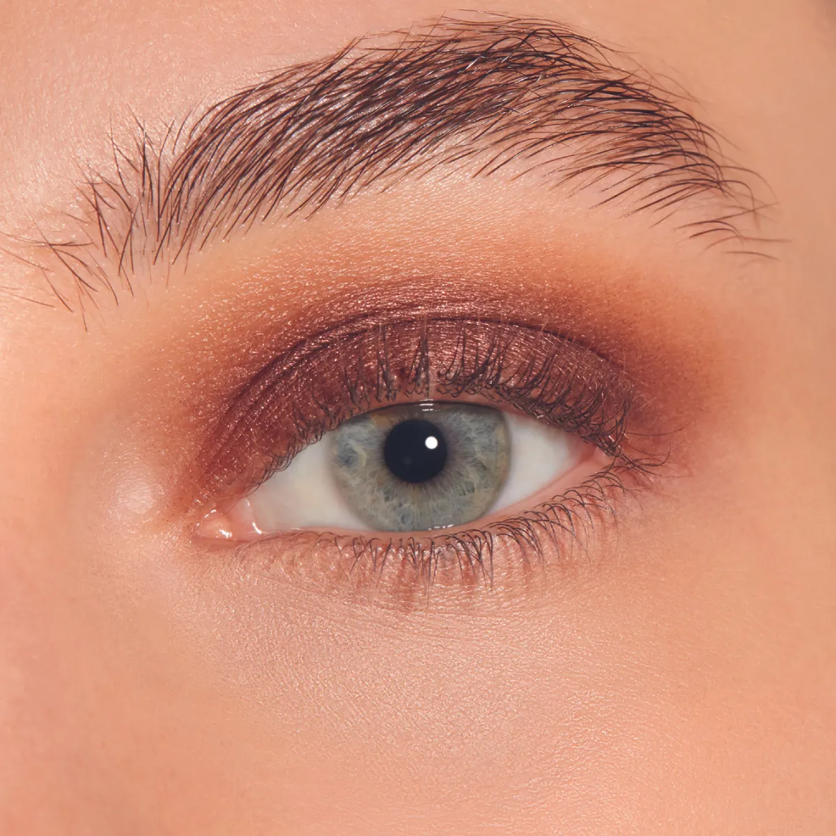 Carolina Herrera Sombra de Ojos Shimmer