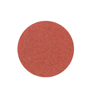 CHERRY CHEER Single Shadow