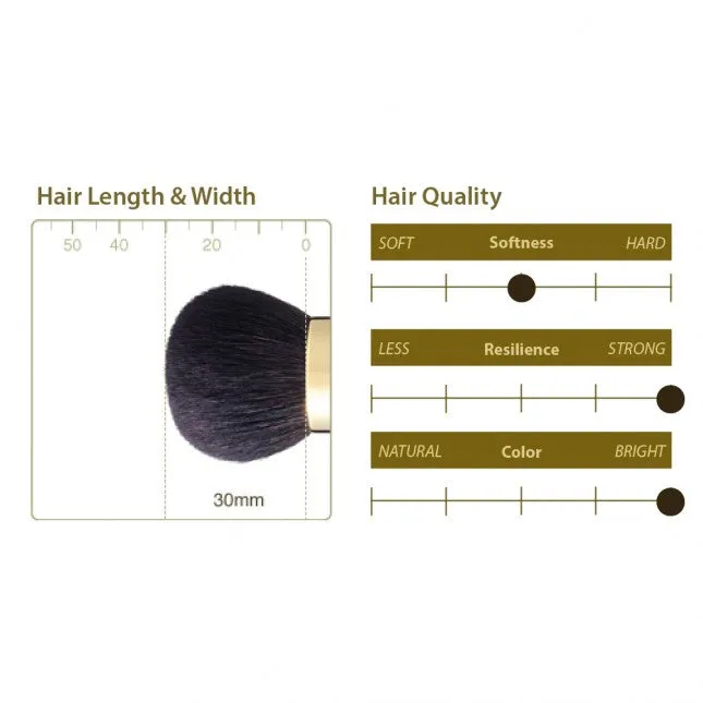 Chikuhodo GSN-2 Powder Brush, GSN Series