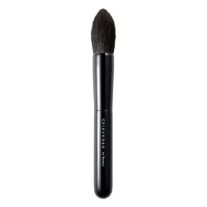 Chikuhodo Z-2 Highlight Brush, Z Series