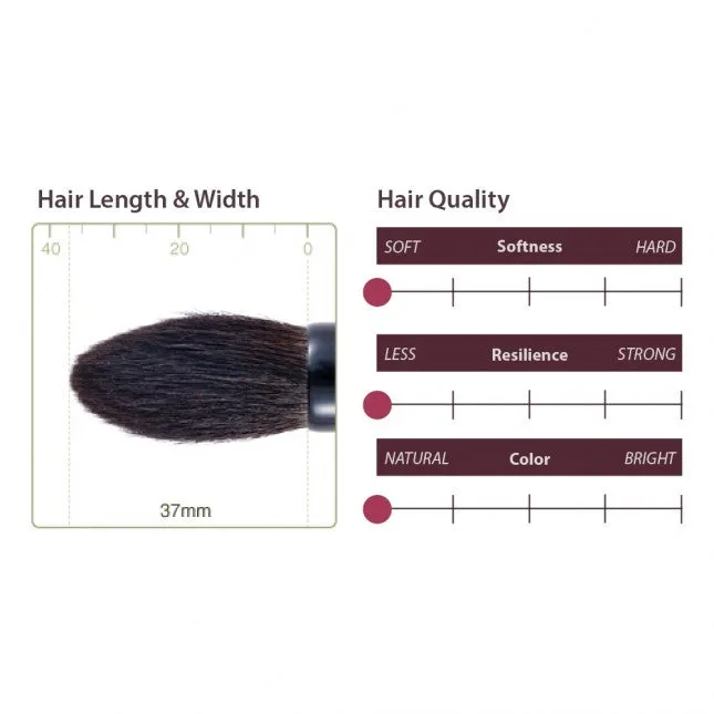 Chikuhodo Z-2 Highlight Brush, Z Series