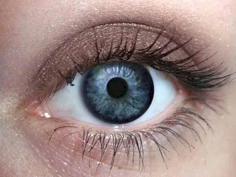 Chocolate Chip Eyeshadow