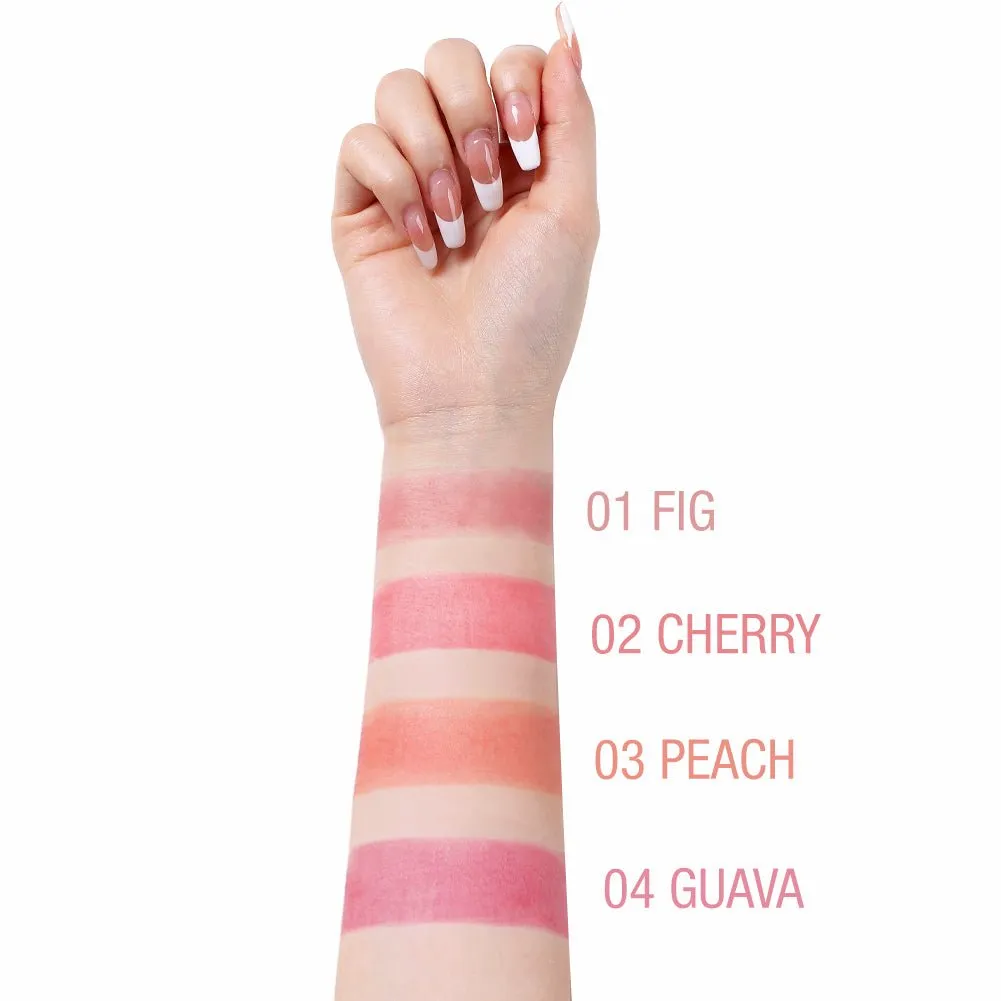 Chubby Blush Stick - 01 Fig