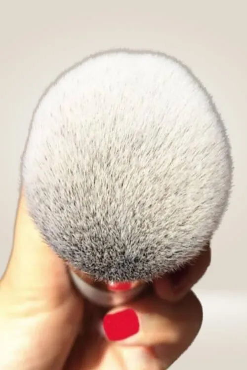 Chubby Pier Professional Makeup Brush