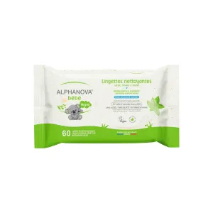 Cleaning Wipes