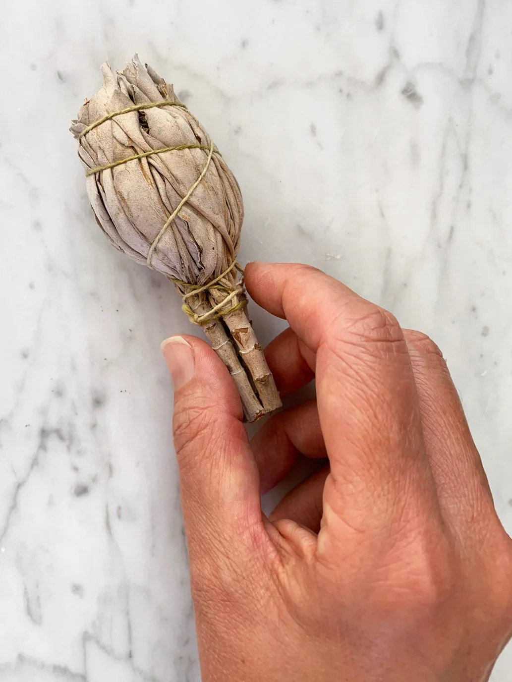 Clearing White Sage Smudge Stick (10-12cm)