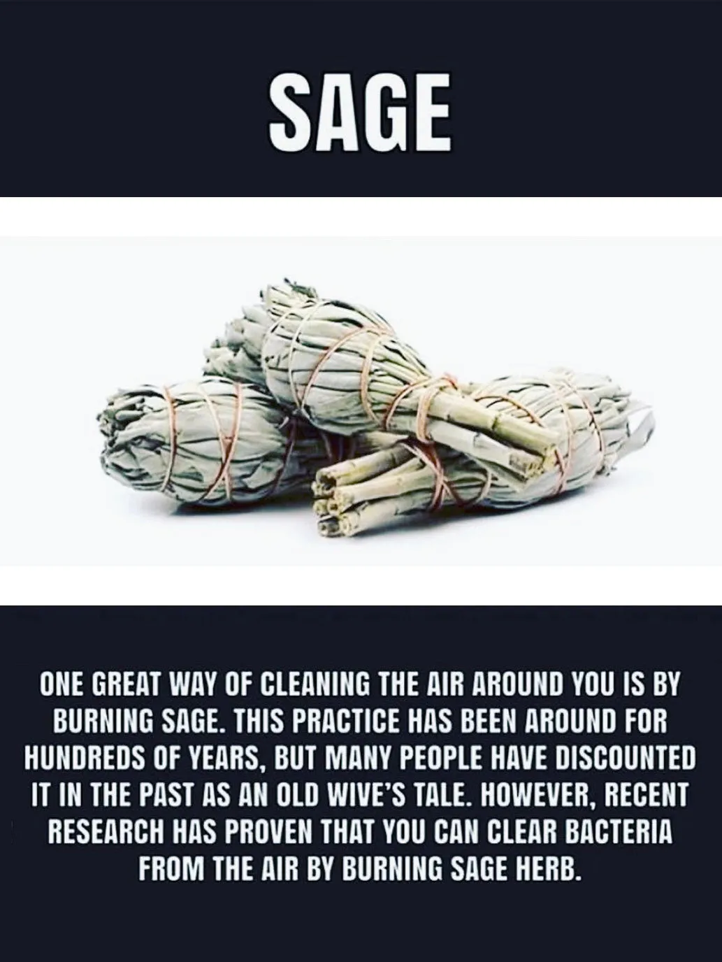 Clearing White Sage Smudge Stick LARGE (15cm) • NEW
