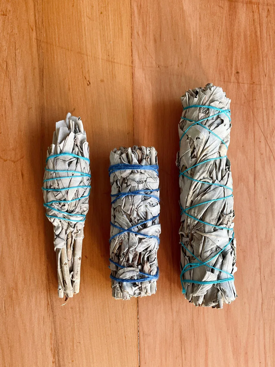 Clearing White Sage Smudge Stick LARGE (15cm) • NEW