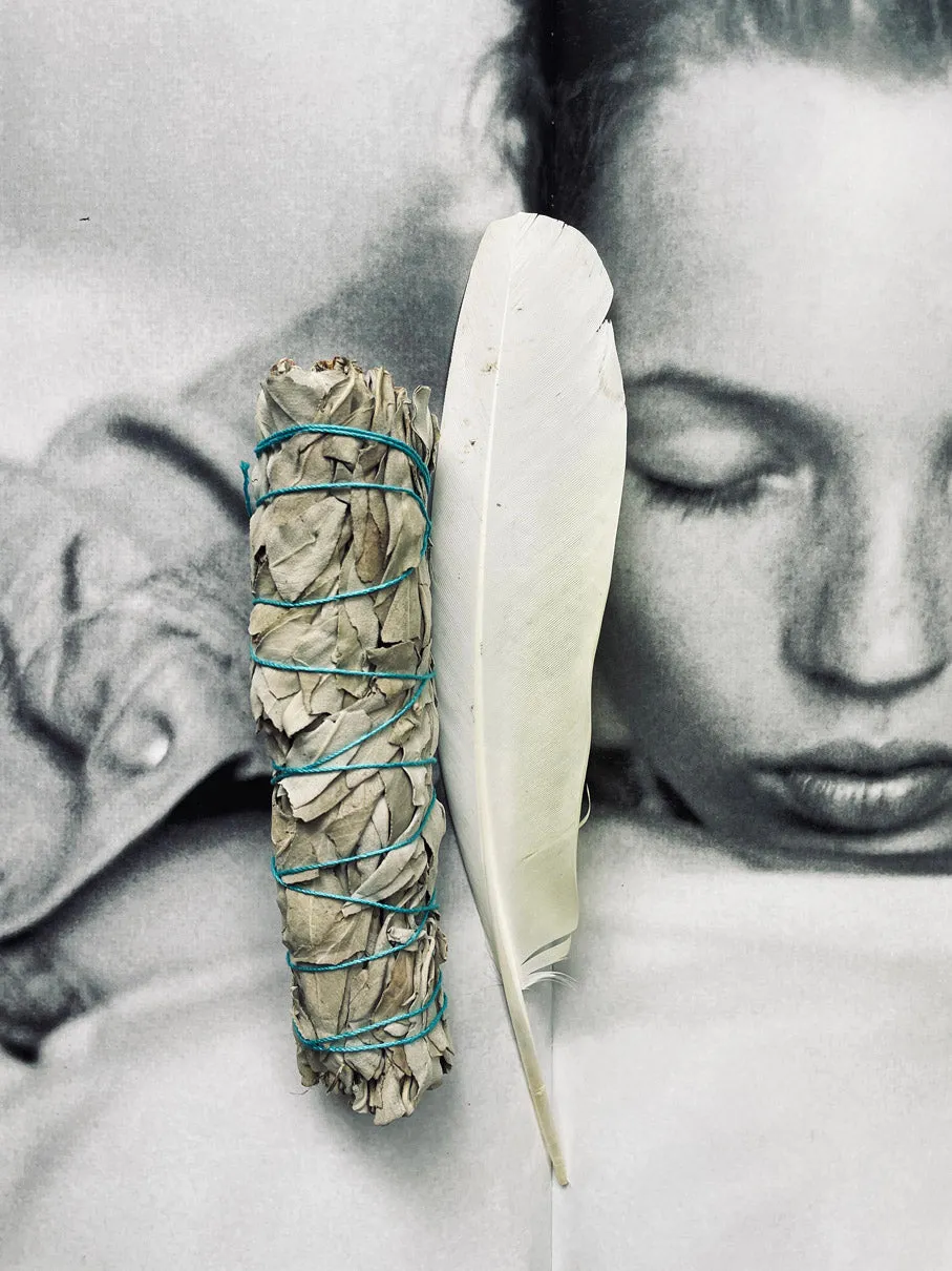 Clearing White Sage Smudge Stick LARGE (15cm) • NEW
