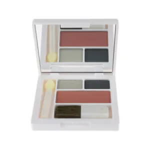 Clinique Eye Shadow and Blush Palette #11 & #06 New Unboxed