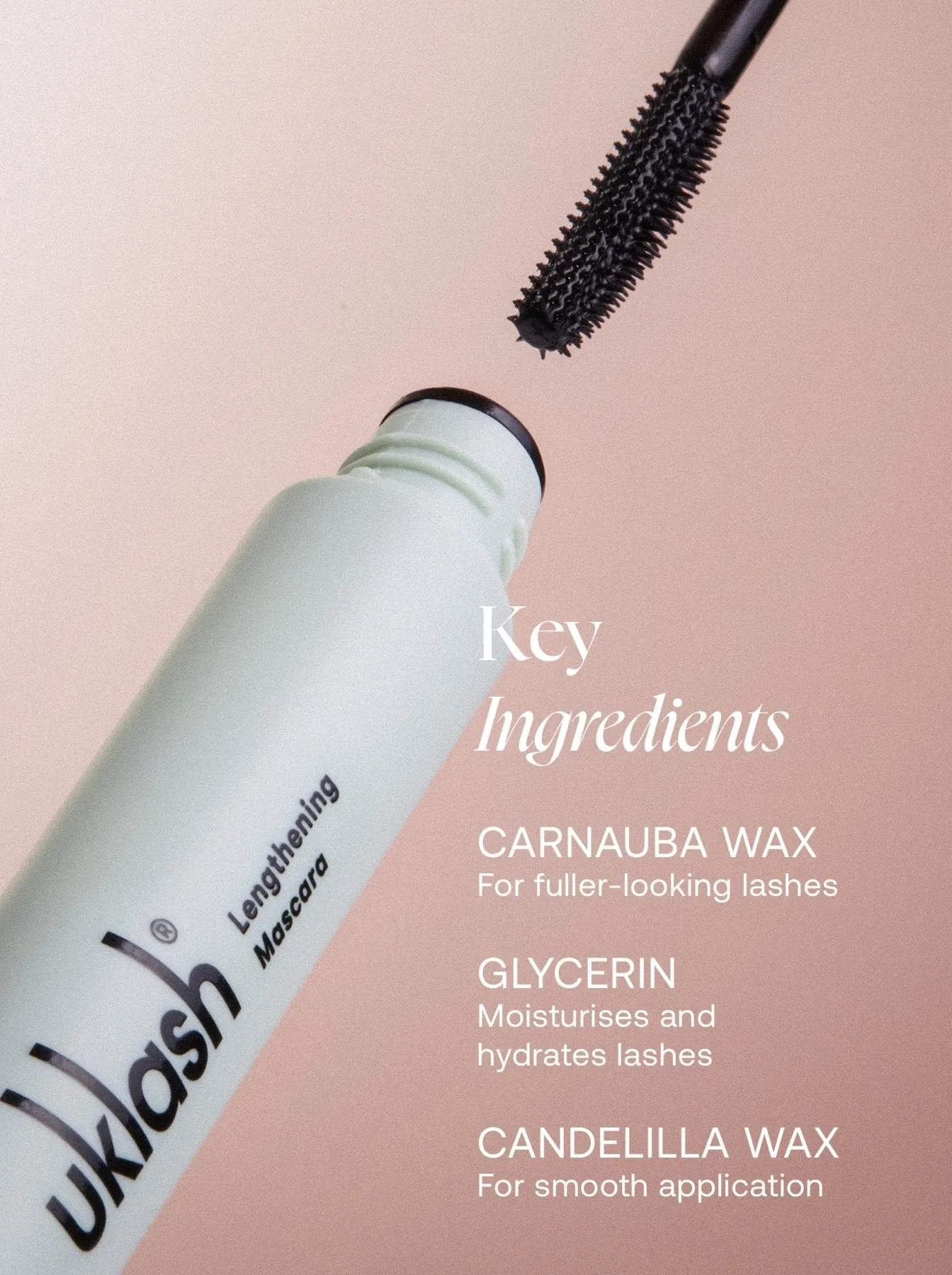 Complex Peptide Eyelash Serum   Lengthening Mascara Set