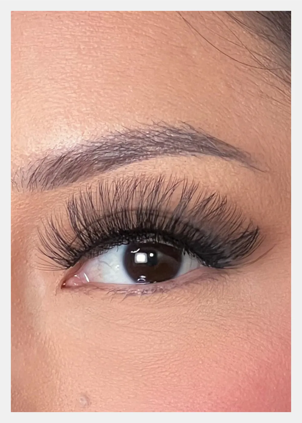 D-LUX Curl Premium Faux Mink Lashes - Vivien
