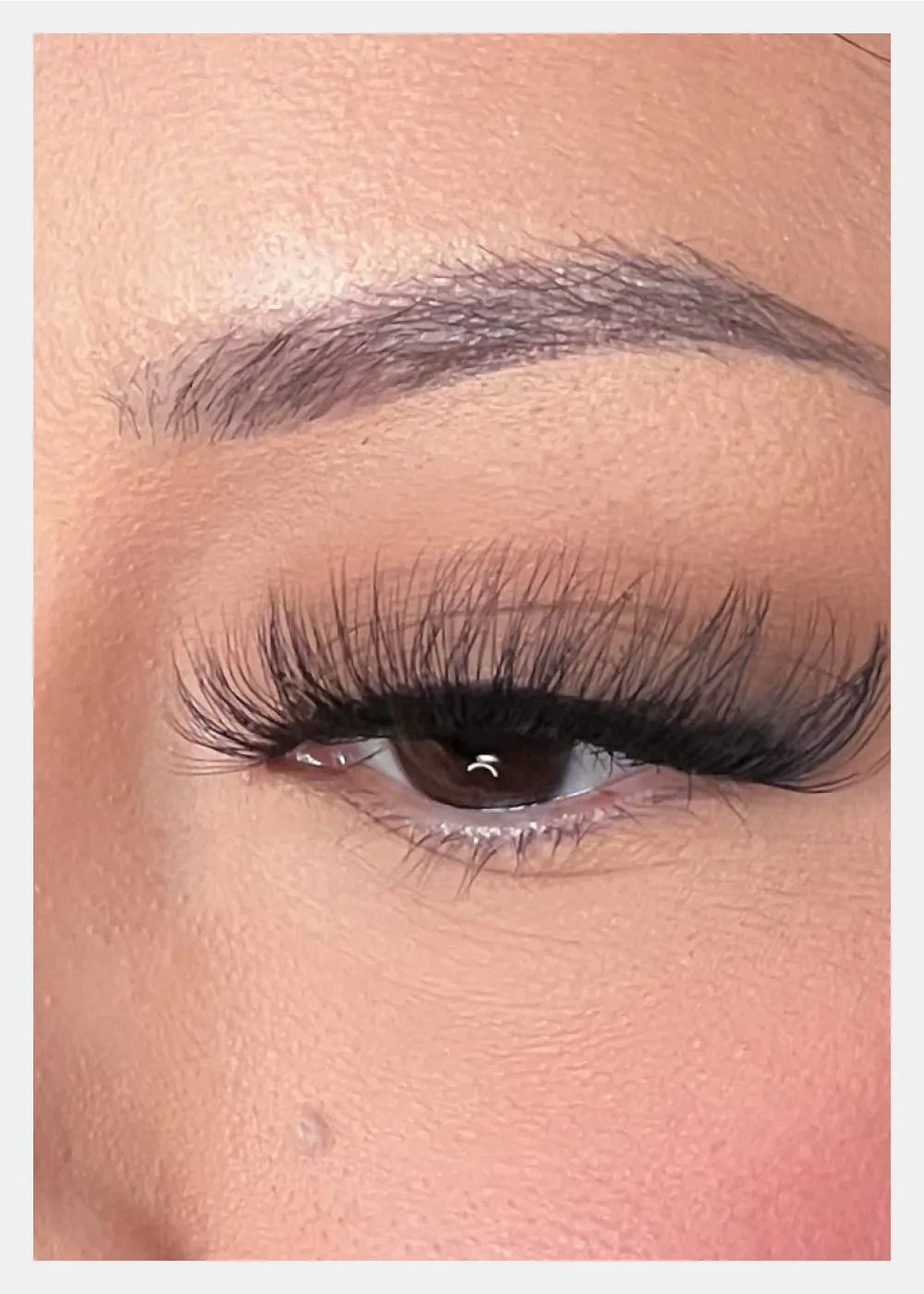 D-LUX Curl Premium Faux Mink Lashes - Vivien