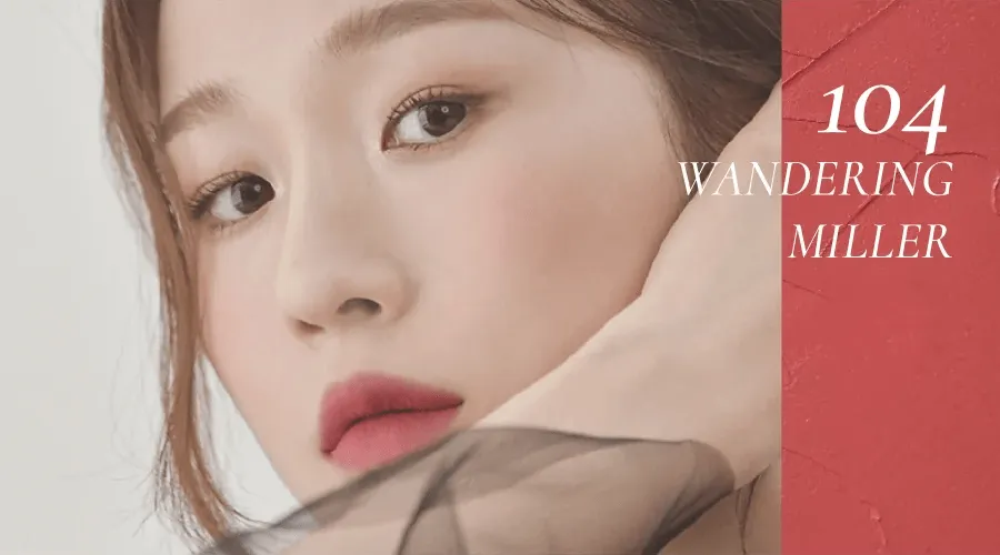 Dinto Blur-Finish Lip Tint 3.5g