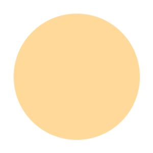 Dual Powder Foundation