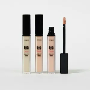 Etude Big Cover Skin Fit Concealer