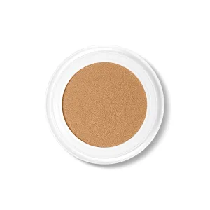 Future Skin Cushion Foundation Wheat 12g