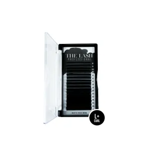 L  Curl Classic Lashes