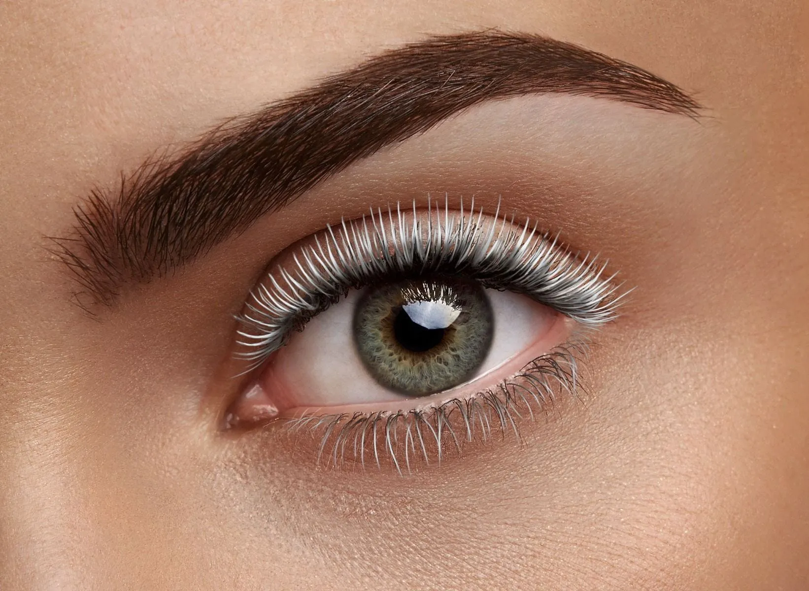 Lash Paradise Primer