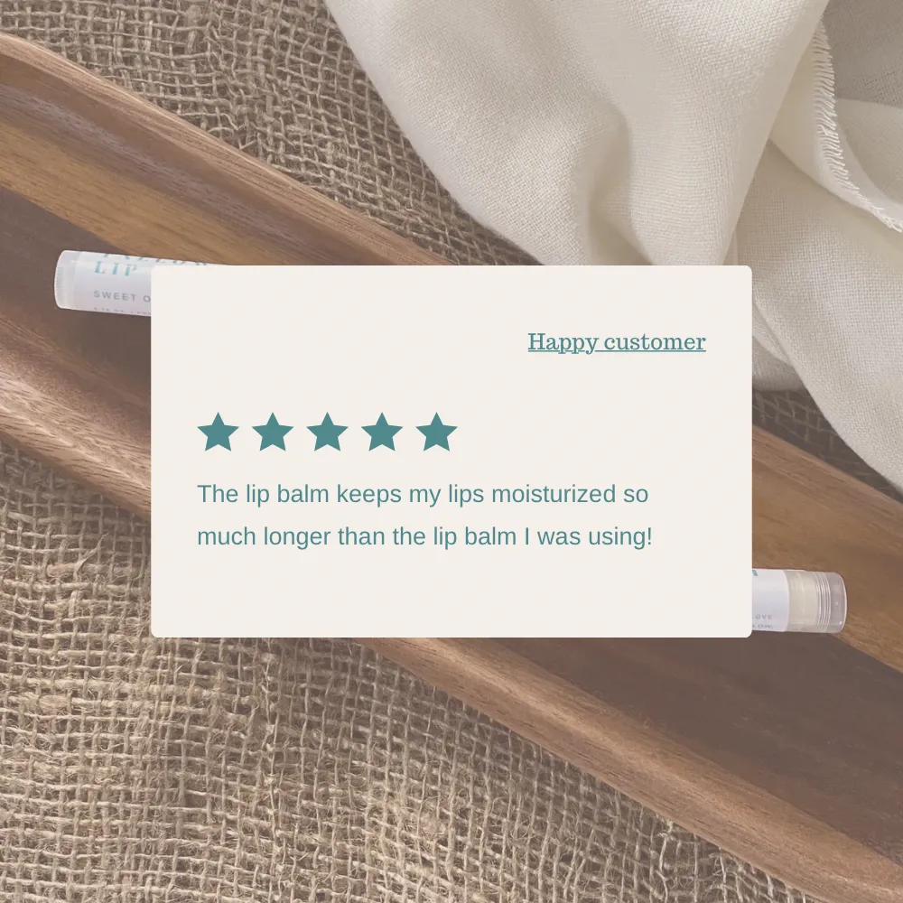 Lip Balm Gift Set - Set of 5 | Shea butter   Tallow   Beeswax | Natural Lip Moisturizer