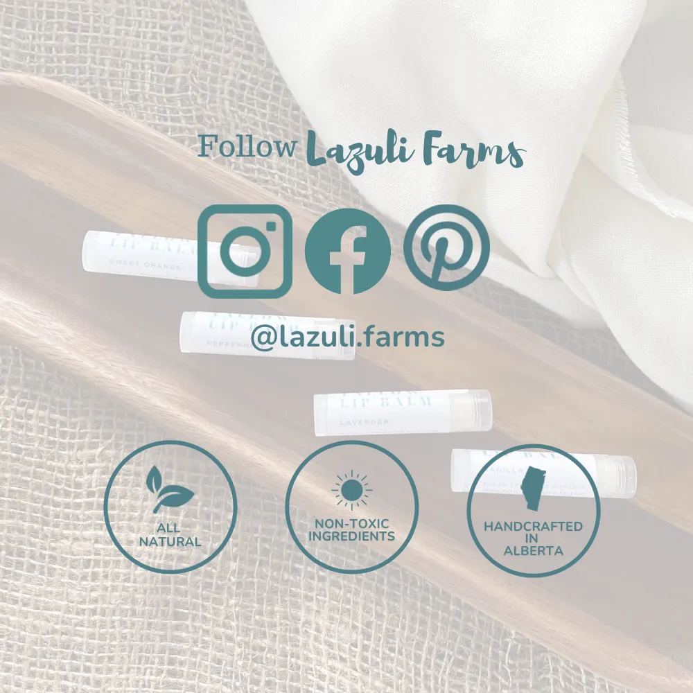 Lip Balm Gift Set - Set of 5 | Shea butter   Tallow   Beeswax | Natural Lip Moisturizer