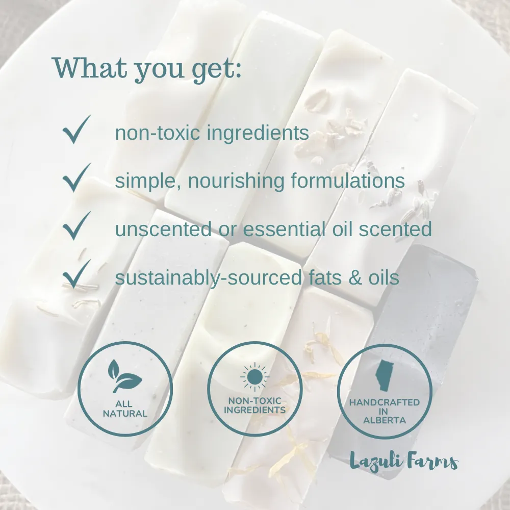Lip Balm Gift Set - Set of 5 | Shea butter   Tallow   Beeswax | Natural Lip Moisturizer