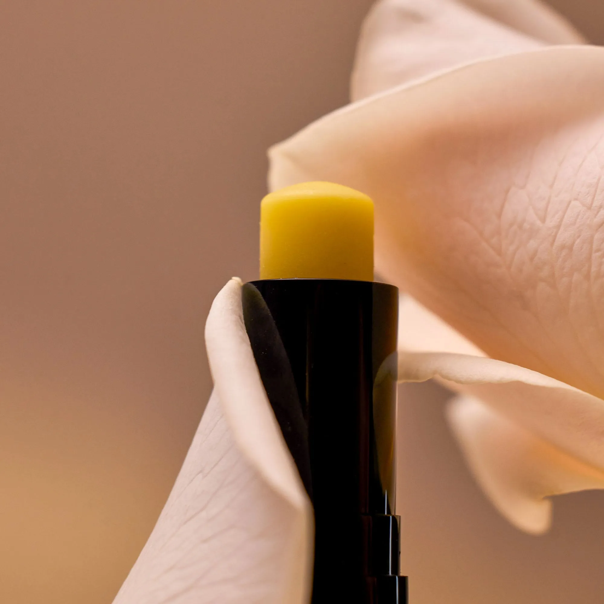 Luxury Lip Balm