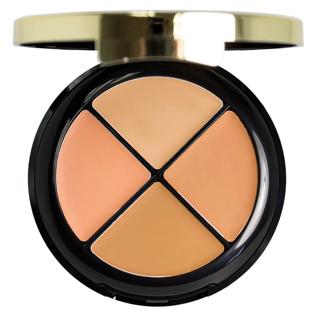 Milani Conceal   Perfect All-in-One Concealer Kit