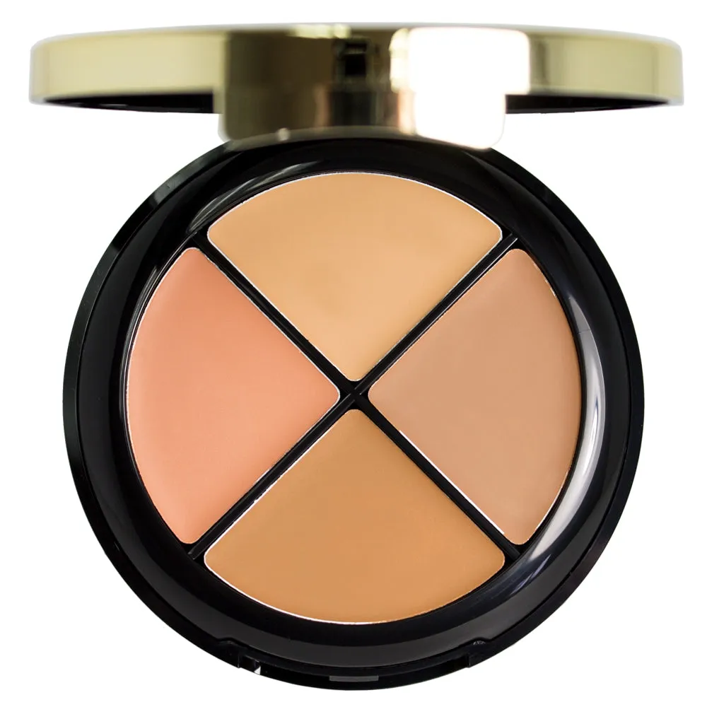 Milani Conceal   Perfect All-in-One Concealer Kit