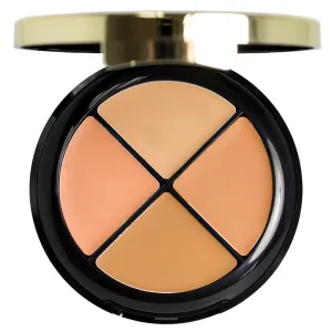 Milani Conceal   Perfect All-in-One Concealer Kit