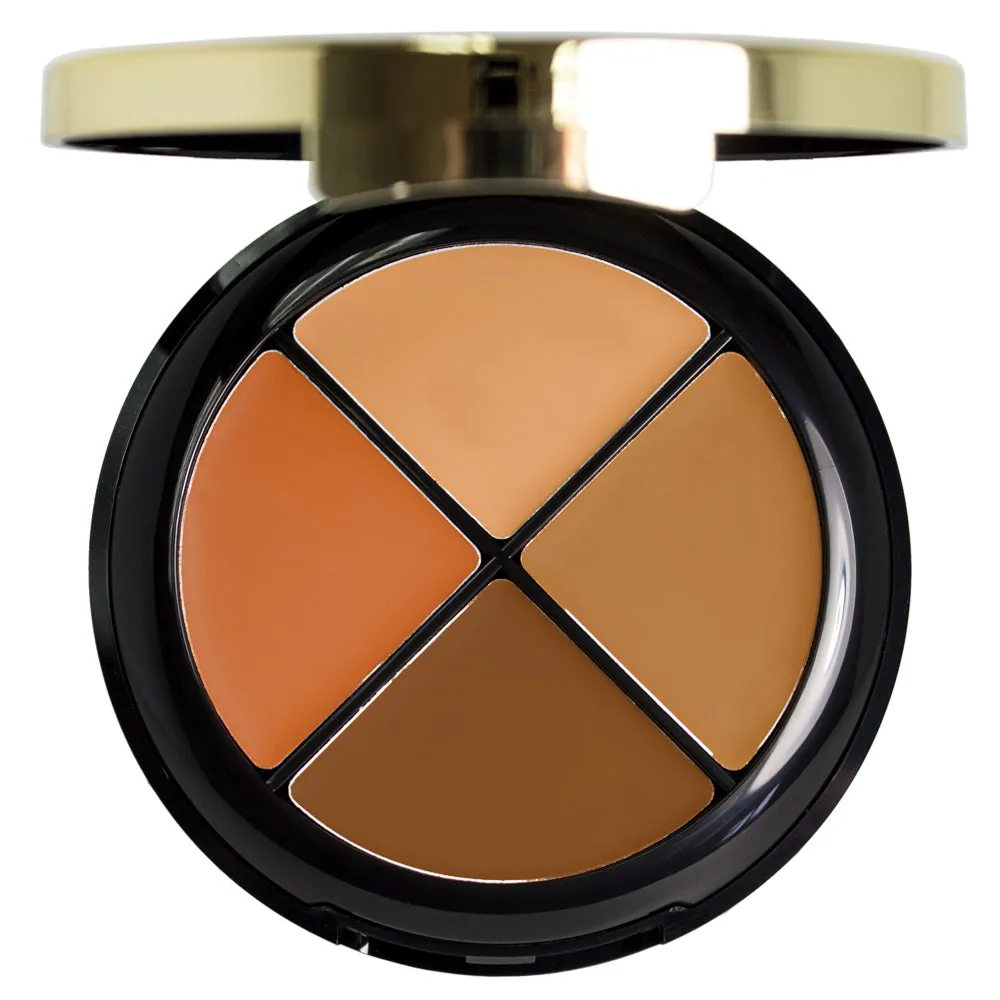 Milani Conceal   Perfect All-in-One Concealer Kit